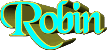 Robin R MANN - Frankreich Vorname 