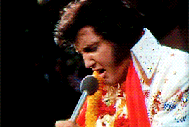 Elvis Presley Rock USA Musik Multimedia 