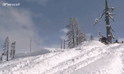 Fun - Win Moto da neve Trasporti Umorismo -  Fun 