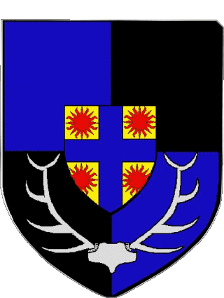 Blason-Blason CHEVERNY 41 Départements - Villes France Drapeaux 