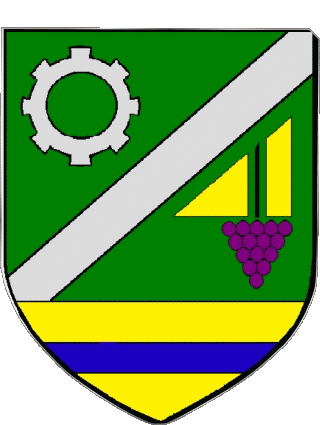 Wappen-Wappen SAINT JEAN DE LA RUELLE 45 Abteilungen - Städte Frankreich Fahnen 