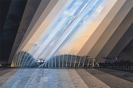 Qi Wei Fong GIF Artistes Humour - Fun 