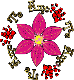 01 Te Amo Spagnolo Messagi 