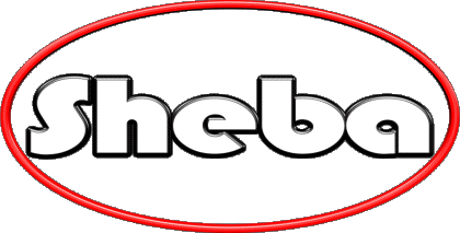 Sheba S FEMININ - UK - USA Prénoms 