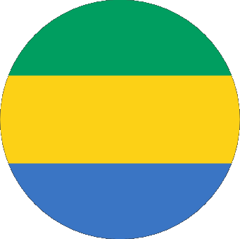 Rond Gabon Afrique Drapeaux 
