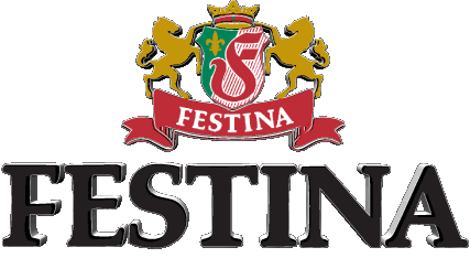 Festina Watches Fashion 
