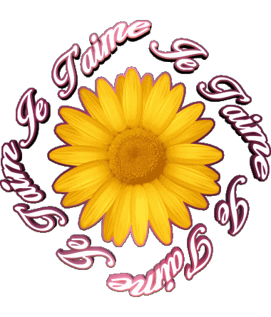 03 Je T'aime Francese Messagi 