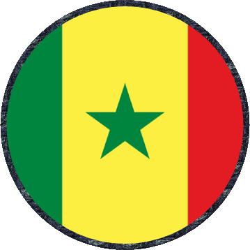 Rond Sénégal Afrique Drapeaux 