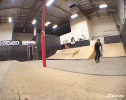 Free Style Fun - Win 02 Skateboard Sport Humor -  Fun 