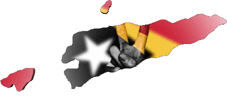 Karte Osttimor Asien Fahnen 