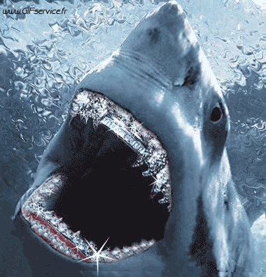 01 Tiburones Animales Humor - Fun 