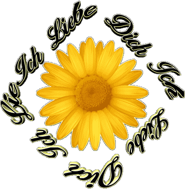 02 Ich Liebe Dich Allemand Messages 