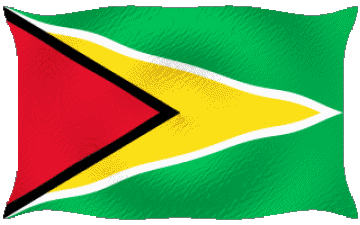 Welligkeit Guyana Amerika Fahnen 