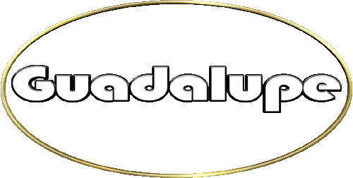 Guadalupe G FEMININE - Spain First Names 