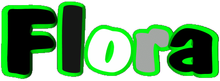 Flora F WEIBLICH - Frankreich Vorname 