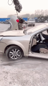 Lustige Autos Transport Humor -  Fun 