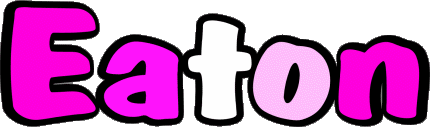Eaton E MASCULINE -  UK - USA - IRL - AUS - NZ First Names 