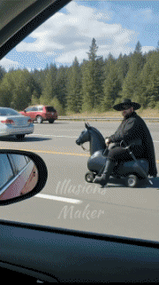 Funny 02 Cars Transport Humor -  Fun 