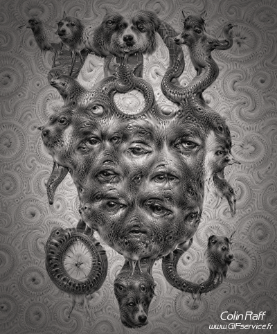 Colin Raff GIF Artista Umorismo -  Fun 