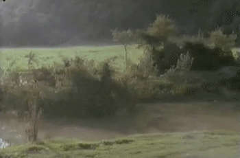 Video Watch Out We're Mad ! Movies International Multi Media 