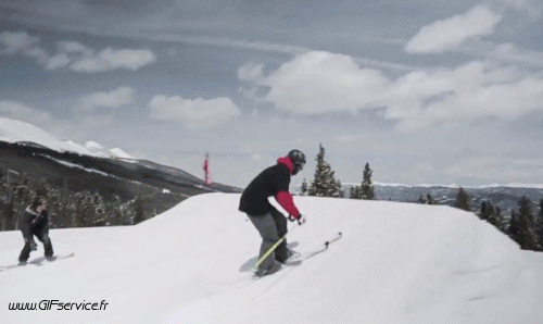 Free Style Fun Win Ski Sports Humour - Fun 