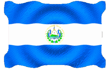 Welligkeit Salvador Amerika Fahnen 