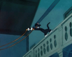 The Cuckoo Clock Tex Avery Cartoons TV Filme Multimedia 