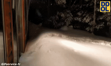 Serie 01 En la Nieve GENTE Humor - Fun 