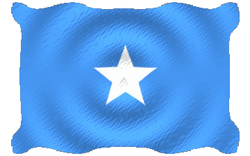 Sventola Somalia Africa Bandiere 