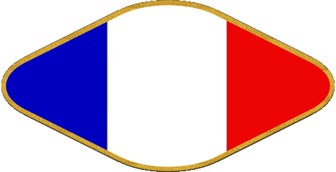 Oval National France Flags 