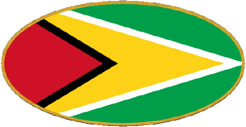 Ovale Guyana Amériques Drapeaux 