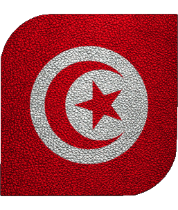 Square Tunisia Africa Flags 