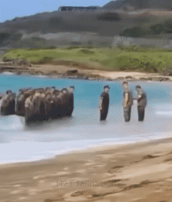 Serie 01 Militare PERSONE Umorismo -  Fun 