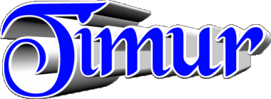 Timur T MASCULINE - Maghreb Muslim First Names 