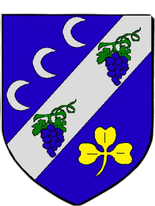 Blasone-Blasone COULANGES LES NEVERS 58 Dipartimenti - Città Francia Bandiere 