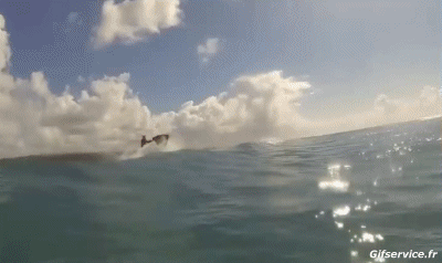 Win Fun Jet Ski Transports Humour - Fun 