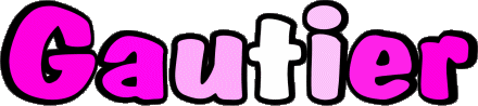 Gautier G MASCULIN - France Prénoms 
