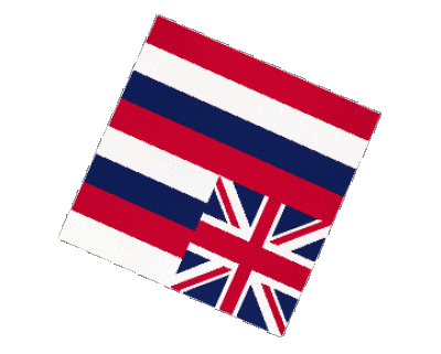 Sphere - Cube Hawaii U.S.A - Etats Amériques Drapeaux 