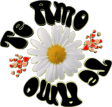 04 Te Amo Español Mensajes 