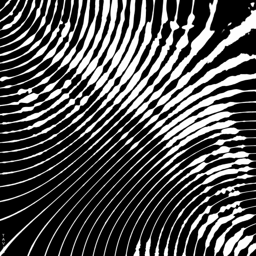 Bill Tavis GIF Artista Umorismo -  Fun 