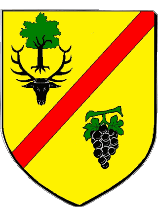 MONT PRES CHAMBORD 41 Abteilungen - Städte Frankreich Fahnen 