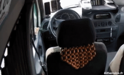 Varios 02 Pájaros Animales Humor - Fun 