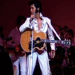 Elvis Presley Rock USA Música Multimedia 