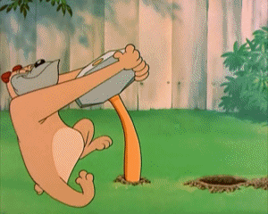 Garden Gopher Tex Avery Dibujos animados TV Peliculas Multimedia 