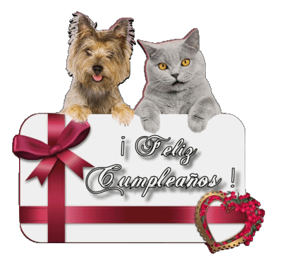 005 Animales Feliz Cumpleaños Spagnolo Messagi 