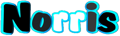 Norris N MASCULINE -  UK - USA - IRL - AUS - NZ First Names 