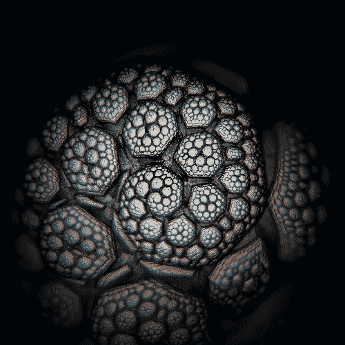 Connor Bell GIF Artista Umorismo -  Fun 