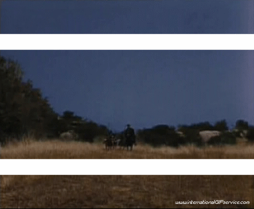 Zorro-Zorro 3D - Lignes -  Bandes 3D Effets Humour - Fun 