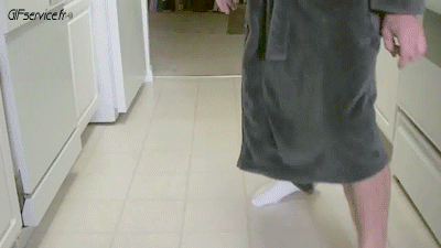 05 Cats Animals Humor -  Fun 