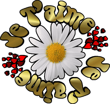 05 Je T'aime Französisch Nachrichten 